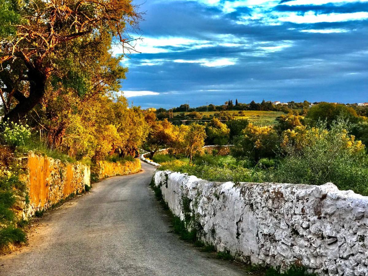 Private Oasis In Algarve With Pool & Fruit Garden Villa Loulé Eksteriør bilde